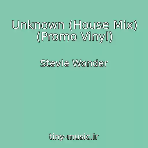 کاور آهنگ Unknown (House Mix) (Promo Vinyl) از Stevie Wonder