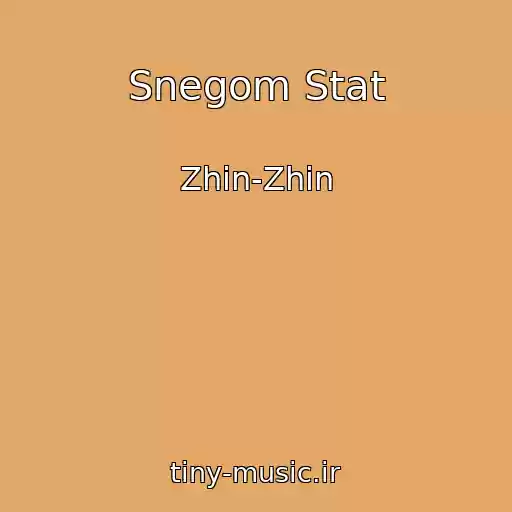 کاور آهنگ Snegom Stat از Zhin-Zhin
