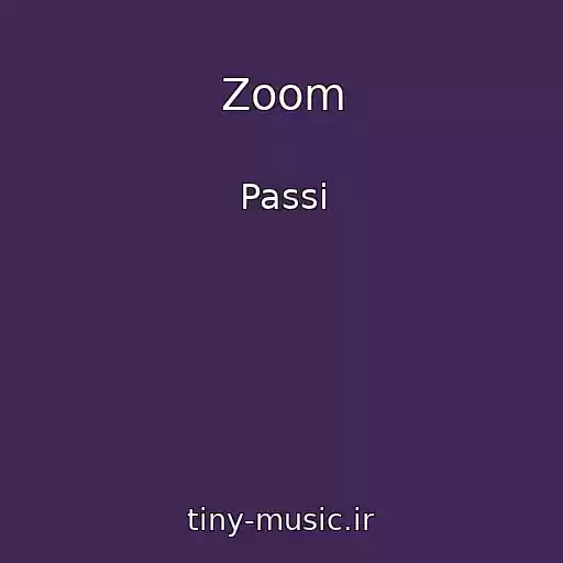 کاور آهنگ Zoom از Passi