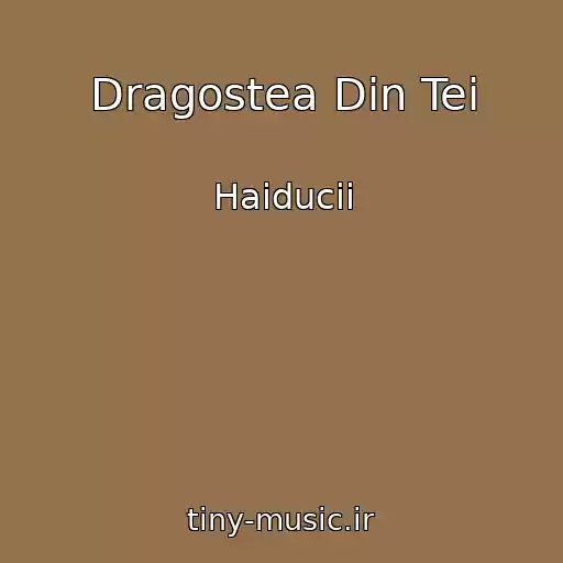 کاور آهنگ Dragostea Din Tei از Haiducii