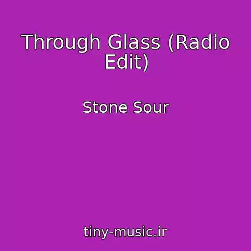 کاور آهنگ Through Glass (Radio Edit) از Stone Sour