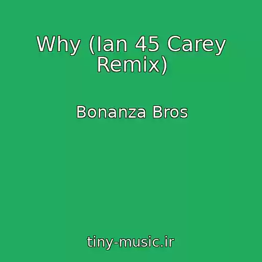 کاور آهنگ Why (Ian 45 Carey Remix) از Bonanza Bros