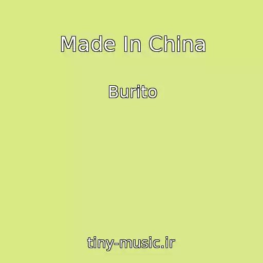 کاور آهنگ Made In China از Burito