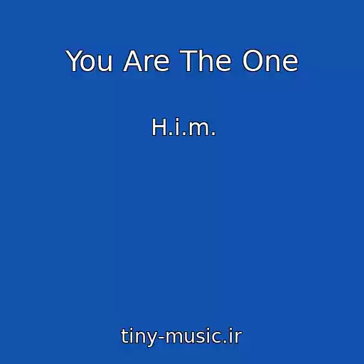 کاور آهنگ You Are The One از H.i.m.