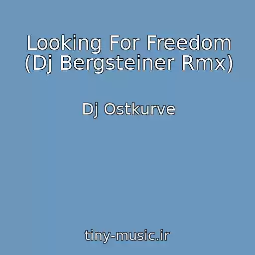 کاور آهنگ Looking For Freedom (Dj Bergsteiner Rmx) از Dj Ostkurve