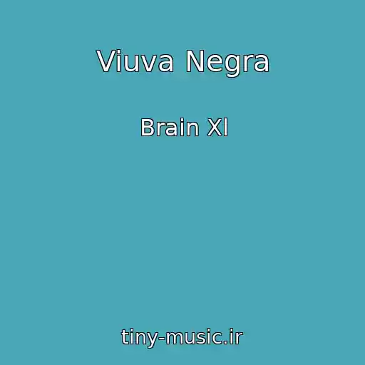 کاور آهنگ Viuva Negra از Brain Xl