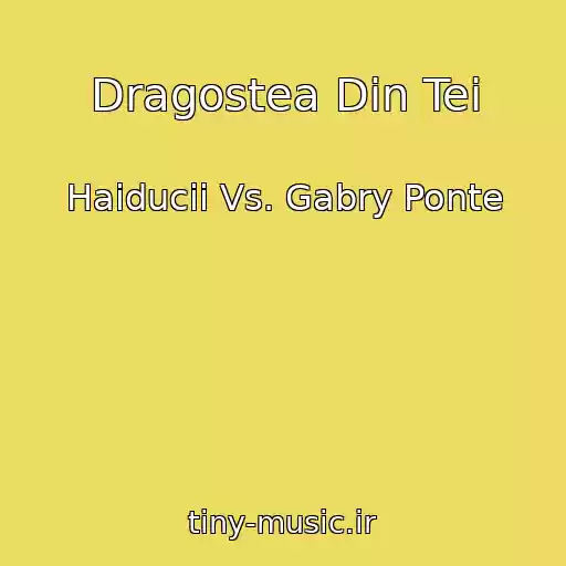 کاور آهنگ Dragostea Din Tei از Haiducii Vs. Gabry Ponte