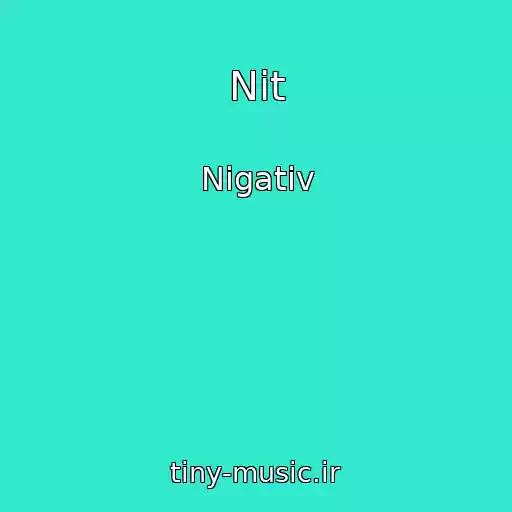 کاور آهنگ Nit از Nigativ