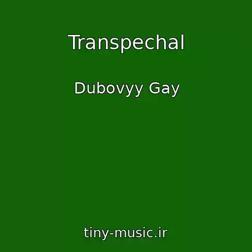 کاور آهنگ Transpechal از Dubovyy Gay
