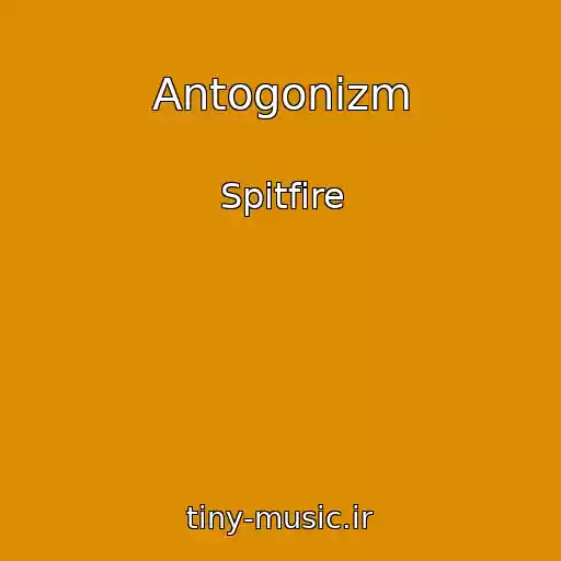 کاور آهنگ Antogonizm از Spitfire