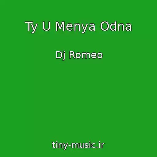 کاور آهنگ Ty U Menya Odna از Dj Romeo