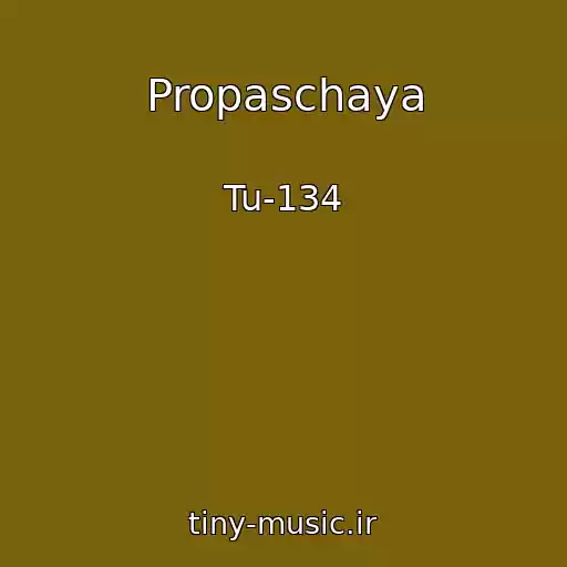کاور آهنگ Propaschaya از Tu-134