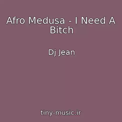 کاور آهنگ Afro Medusa - I Need A Bitch از Dj Jean