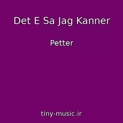 کاور آهنگ Det E Sa Jag Kanner از Petter