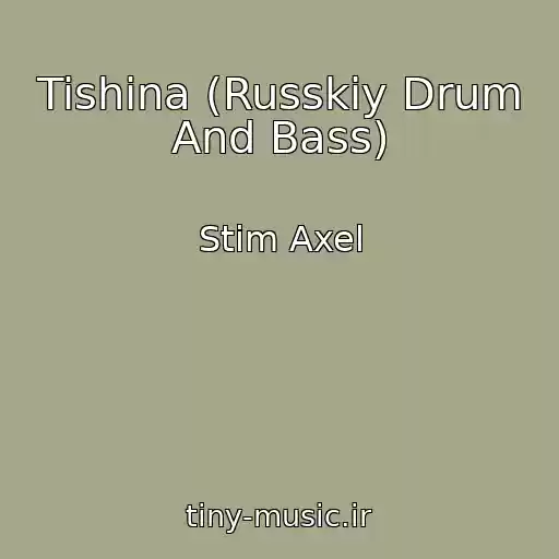کاور آهنگ Tishina (Russkiy Drum And Bass) از Stim Axel