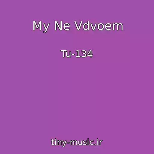 کاور آهنگ My Ne Vdvoem از Tu-134