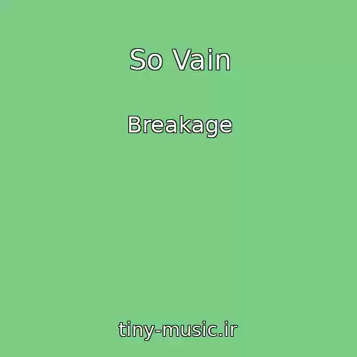 کاور آهنگ So Vain از Breakage