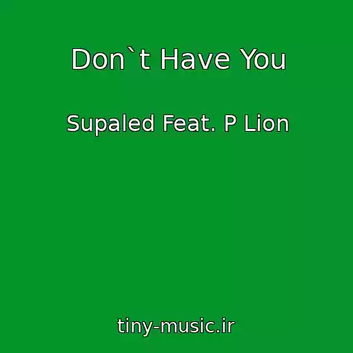 کاور آهنگ Don`t Have You از Supaled Feat. P Lion