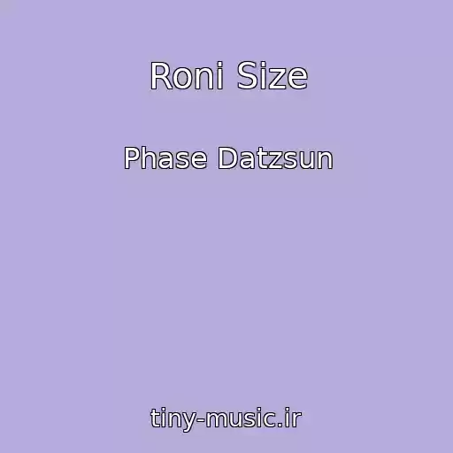 کاور آهنگ Roni Size از Phase Datzsun
