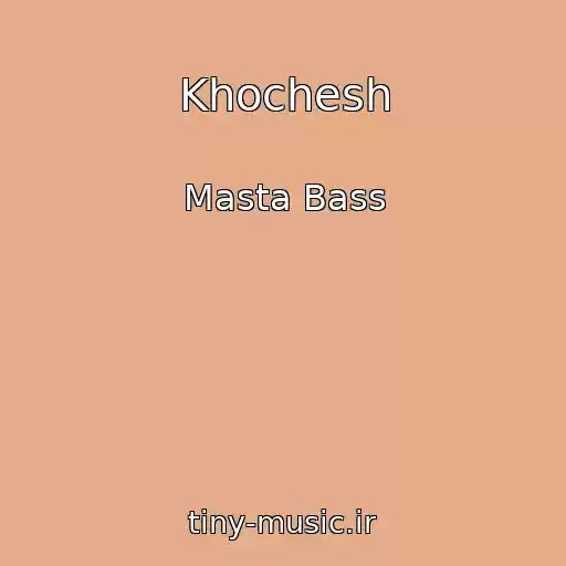 کاور آهنگ Khochesh از Masta Bass