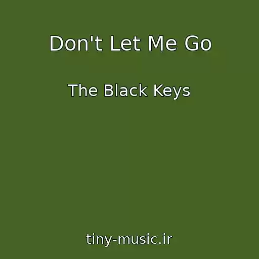 کاور آهنگ Don't Let Me Go از The Black Keys