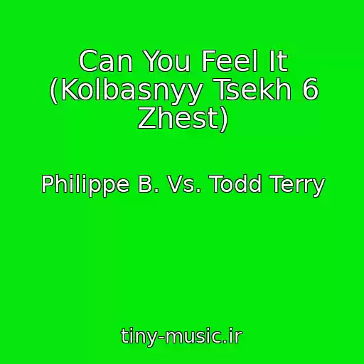 کاور آهنگ Can You Feel It (Kolbasnyy Tsekh 6 Zhest) از Philippe B. Vs. Todd Terry