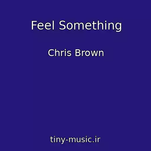 کاور آهنگ Feel Something از Chris Brown