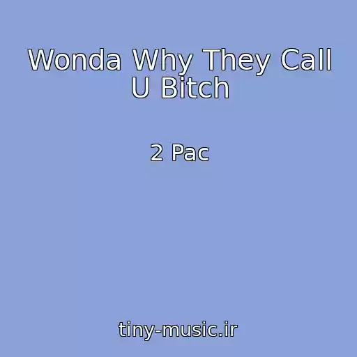 کاور آهنگ Wonda Why They Call U Bitch از 2 Pac