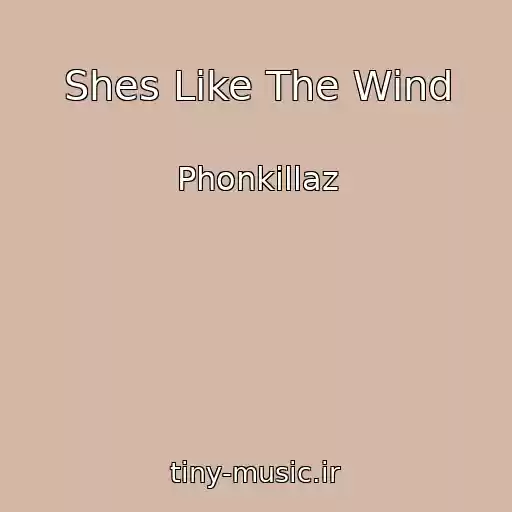 کاور آهنگ Shes Like The Wind از Phonkillaz