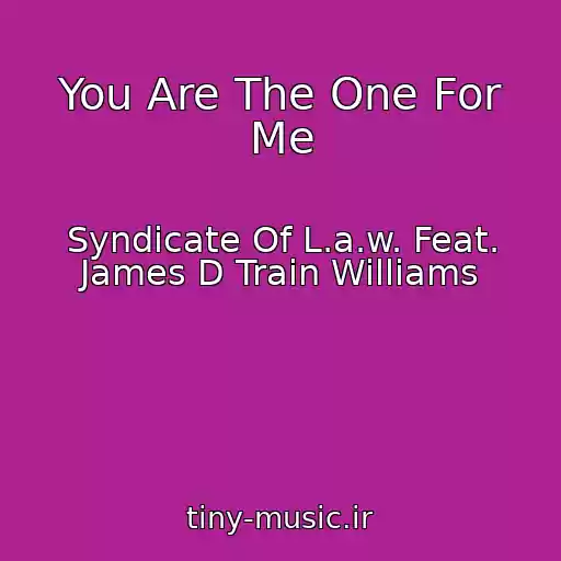 کاور آهنگ You Are The One For Me از Syndicate Of L.a.w. Feat. James D Train Williams