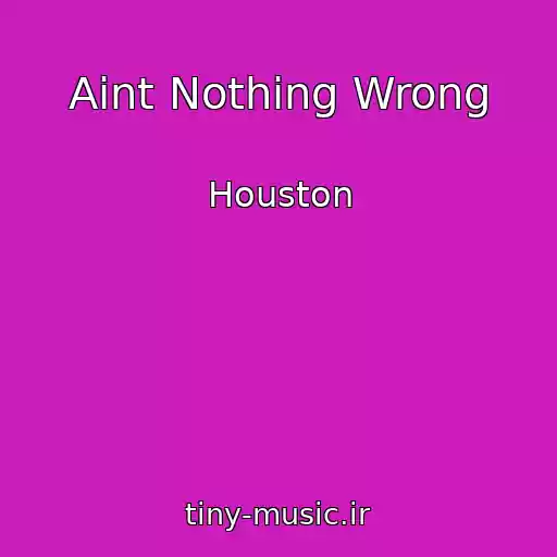 کاور آهنگ Aint Nothing Wrong از Houston