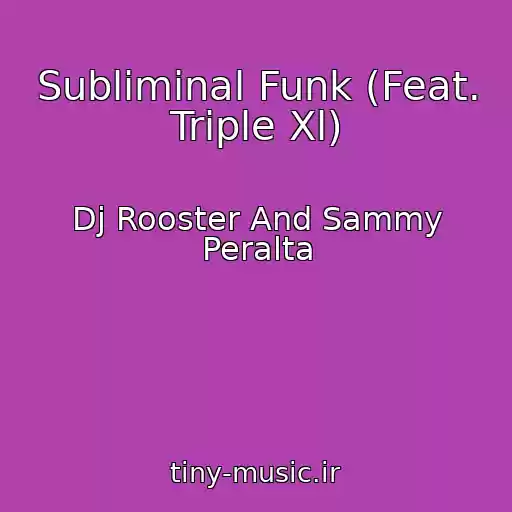 کاور آهنگ Subliminal Funk (Feat. Triple Xl) از Dj Rooster And Sammy Peralta