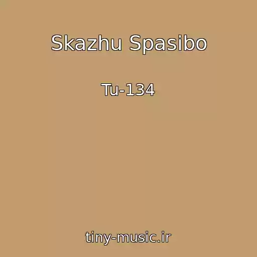 کاور آهنگ Skazhu Spasibo از Tu-134