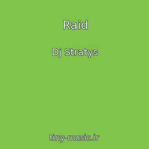 کاور آهنگ Raid از Dj Stratys