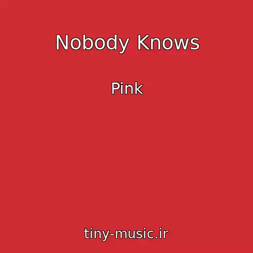 کاور آهنگ Nobody Knows از Pink