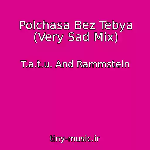 کاور آهنگ Polchasa Bez Tebya (Very Sad Mix) از T.a.t.u. And Rammstein