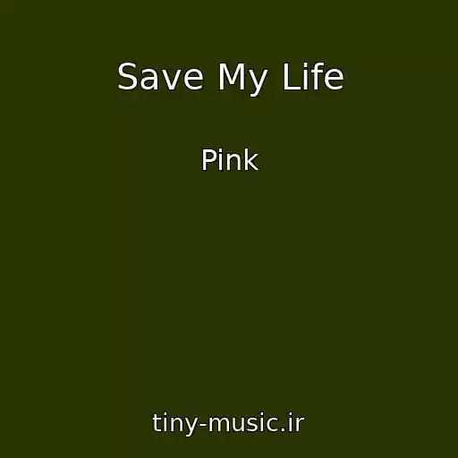 کاور آهنگ Save My Life از Pink