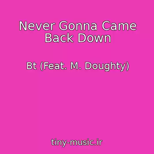کاور آهنگ Never Gonna Came Back Down از Bt (Feat. M. Doughty)