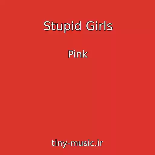 کاور آهنگ Stupid Girls از Pink