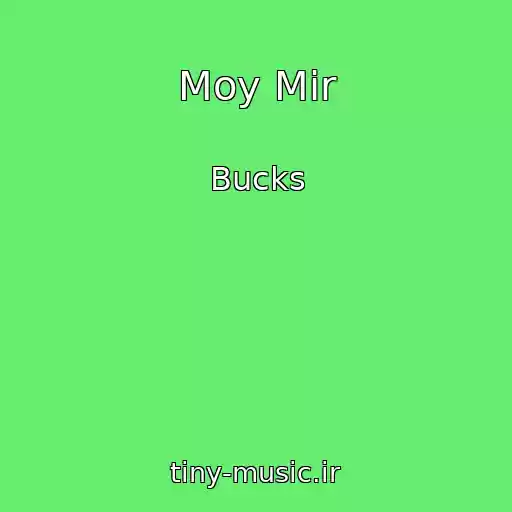 کاور آهنگ Moy Mir از Bucks