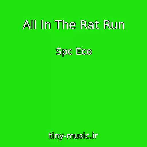 کاور آهنگ All In The Rat Run از Spc Eco