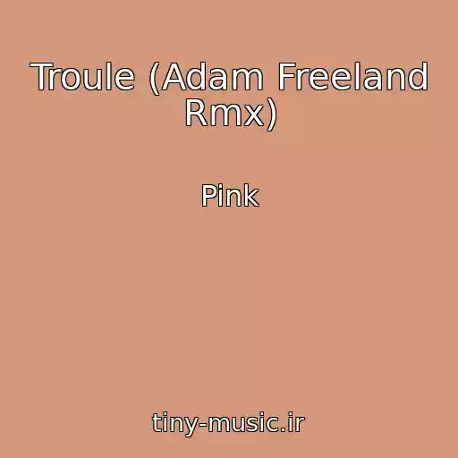 کاور آهنگ Troule (Adam Freeland Rmx) از Pink