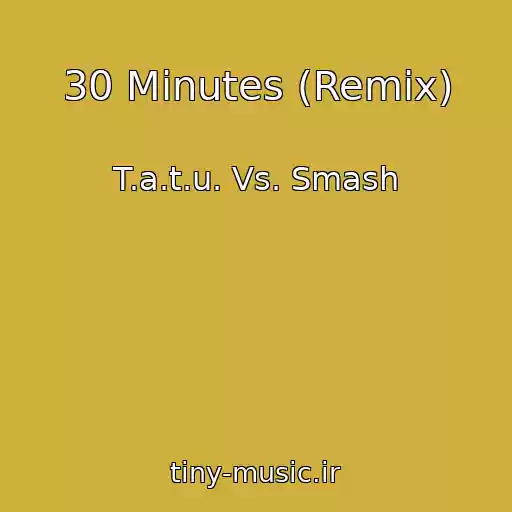 کاور آهنگ 30 Minutes (Remix) از T.a.t.u. Vs. Smash