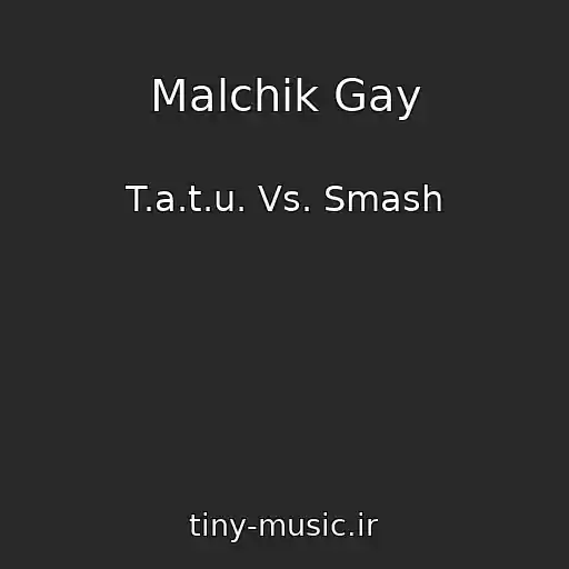 کاور آهنگ Malchik Gay از T.a.t.u. Vs. Smash