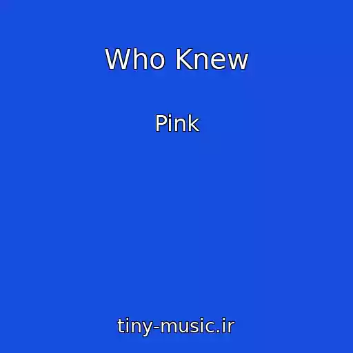 کاور آهنگ Who Knew از Pink