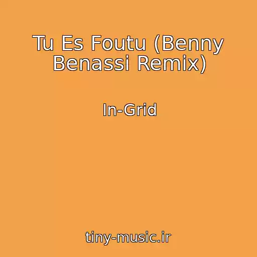 کاور آهنگ Tu Es Foutu (Benny Benassi Remix) از In-Grid