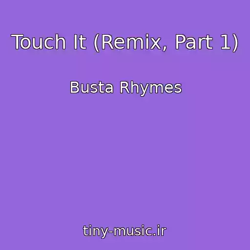 کاور آهنگ Touch It (Remix, Part 1) از Busta Rhymes