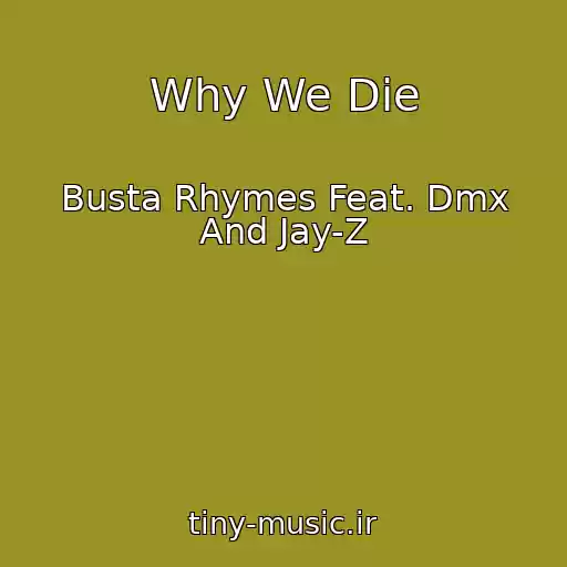 کاور آهنگ Why We Die از Busta Rhymes Feat. Dmx And Jay-Z