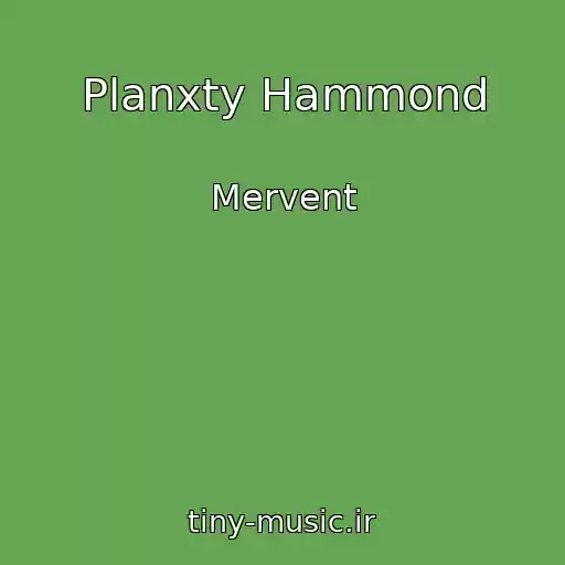 کاور آهنگ Planxty Hammond از Mervent