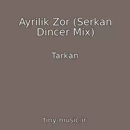 کاور آهنگ Ayrilik Zor (Serkan Dincer Mix) از Tarkan